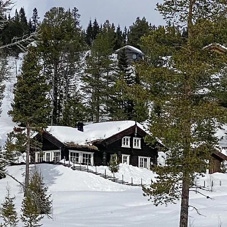 Holiday home 4 Bedroom Lovely In Tinn Austbygd Lurasgrendi